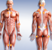 Fibromiyalji Hastaları Neden Sabah Yorgun Uyanır? 