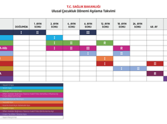 Ebeyenler Dikkat! Çocuklarınızın Aşı Takviminin Güncel Olup Olmadığını Kontrol Edin
