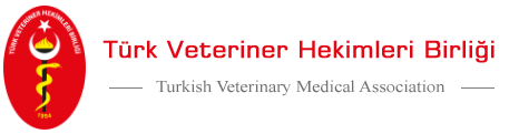 TVHB Logo 1