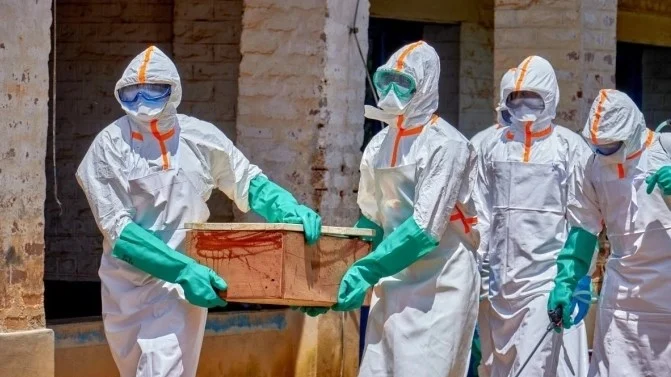 ebola_1.webp