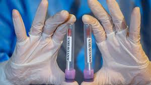 hantavirus1.jpg
