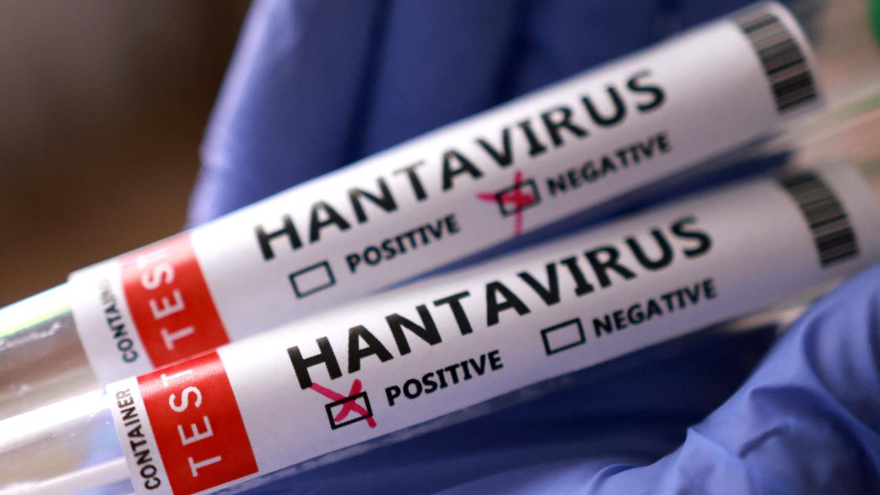 hantavirus2.jpg