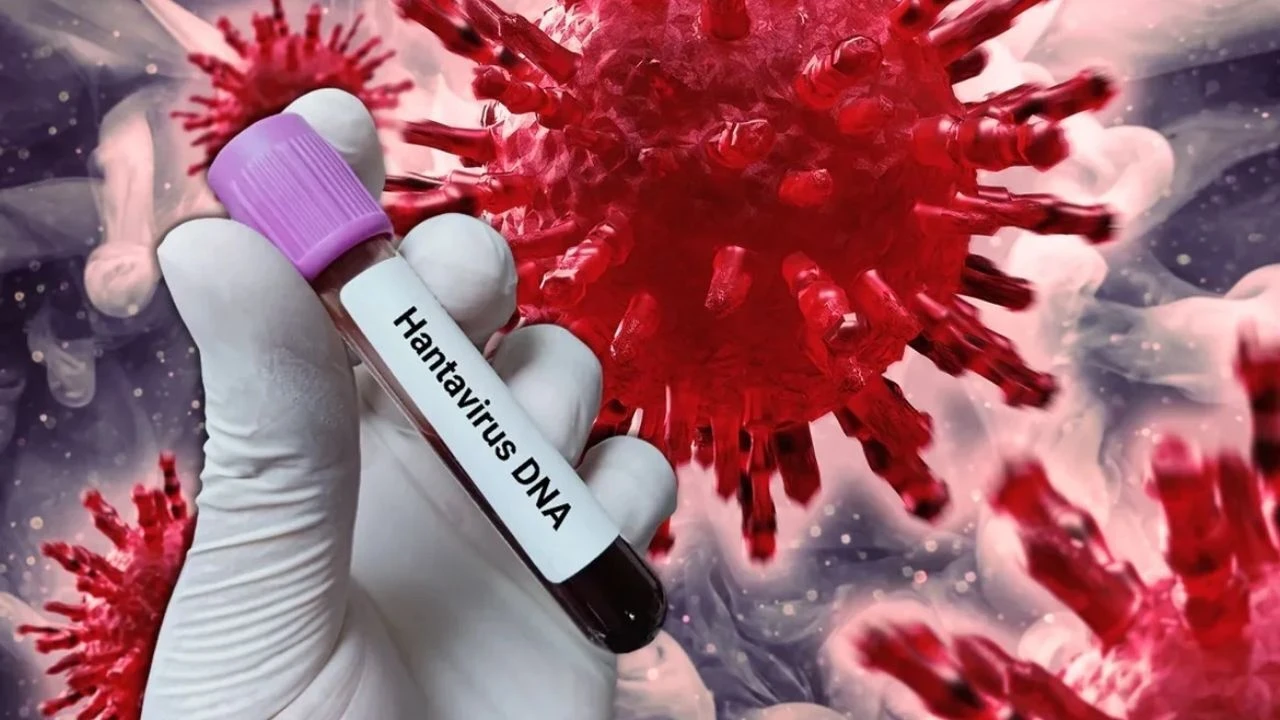 hantavirus3.webp